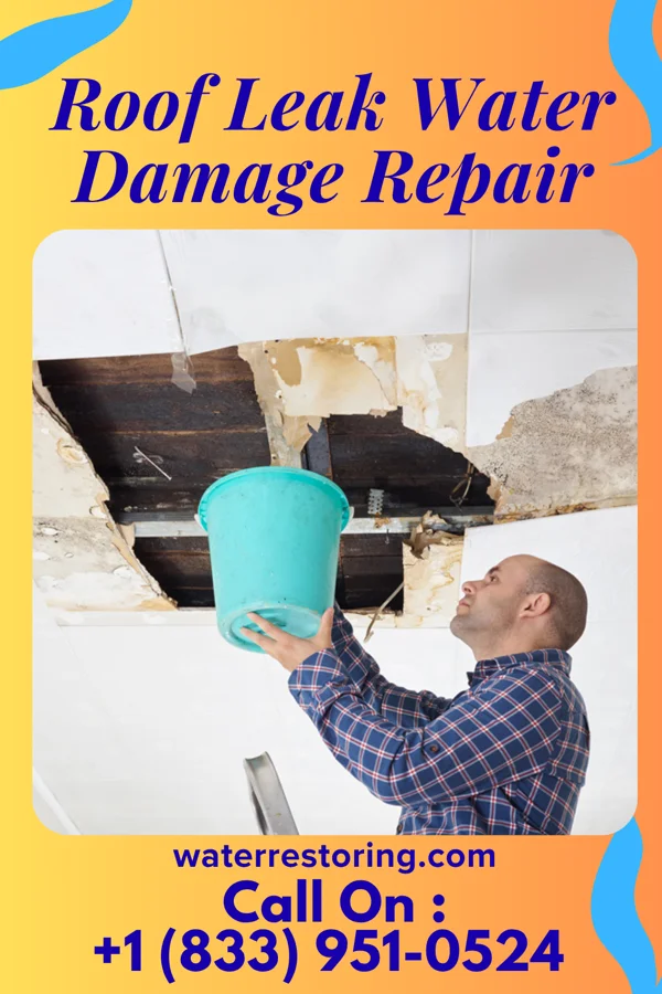 Roof Leak Water Damage Repair in Meno, OK